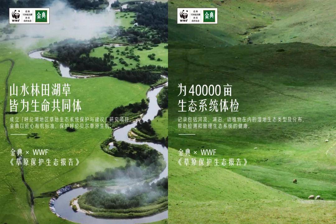 有机看金典如何持续刷新有机品质新标杆PG麻将胡了免费模拟器20年原产地(图4) 有机看金典如何持续刷新有机品质新标杆PG麻将胡了免费模拟器20年原产地(图4)